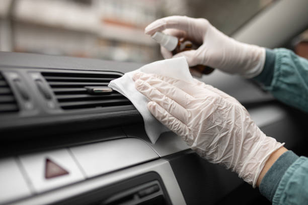 Best Air Duct Mold Removal  in Springfield, GA